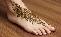 Dome Net Traditional Style