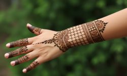 Intricate Chakra with Curves