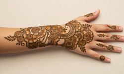 Regal Lotus Curve