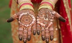 Rose Cluster with Jaal Pattern