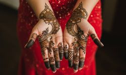 Traditional Tips and Net