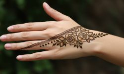 Twilight Vine Trail.Simple Design